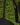 Sprayground - Twilight Green Backpack - Clique Apparel