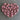 Bravest Pink Bear Claw