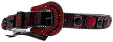 Load image into Gallery viewer, COREY FILIPS RED BELLIED BELT CF1054 - Clique Apparel