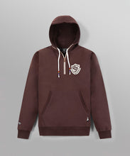 Load image into Gallery viewer, Paper plane -Collegiate Spectrum Half Zip Drop Shoulder Hoodie - Coffee - Clique Apparel